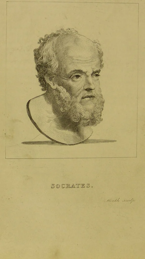 An illustration from Essays on physiognomy : designed to promote the knowledge and the love of mankind / written in the German language by John Caspar Lavater ; and translated into English by Thomas Holcroft ; to which are added, One hundred physiognomonical rules, a posthumous work by Mr. Lavater ; and memoirs of the life of the author, compiled principally from the life of Lavater, by G. Gessner., 1848, leaf 282