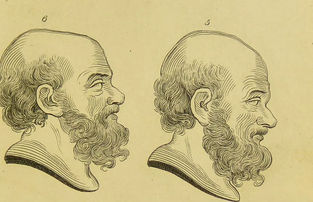 An illustration from Essays on physiognomy : designed to promote the knowledge and the love of mankind / written in the German language by John Caspar Lavater ; and translated into English by Thomas Holcroft ; to which are added, One hundred physiognomonical rules, a posthumous work by Mr. Lavater ; and memoirs of the life of the author, compiled principally from the life of Lavater, by G. Gessner., 1848, leaf 291