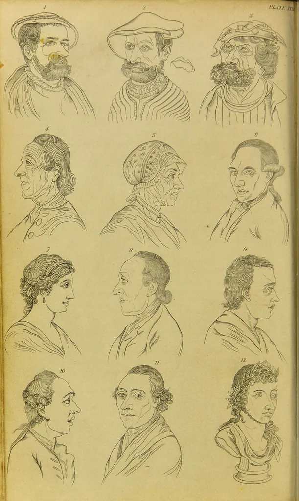 An illustration from Essays on physiognomy : designed to promote the knowledge and the love of mankind / written in the German language by John Caspar Lavater ; and translated into English by Thomas Holcroft ; to which are added, One hundred physiognomonical rules, a posthumous work by Mr. Lavater ; and memoirs of the life of the author, compiled principally from the life of Lavater, by G. Gessner., 1848, leaf 294