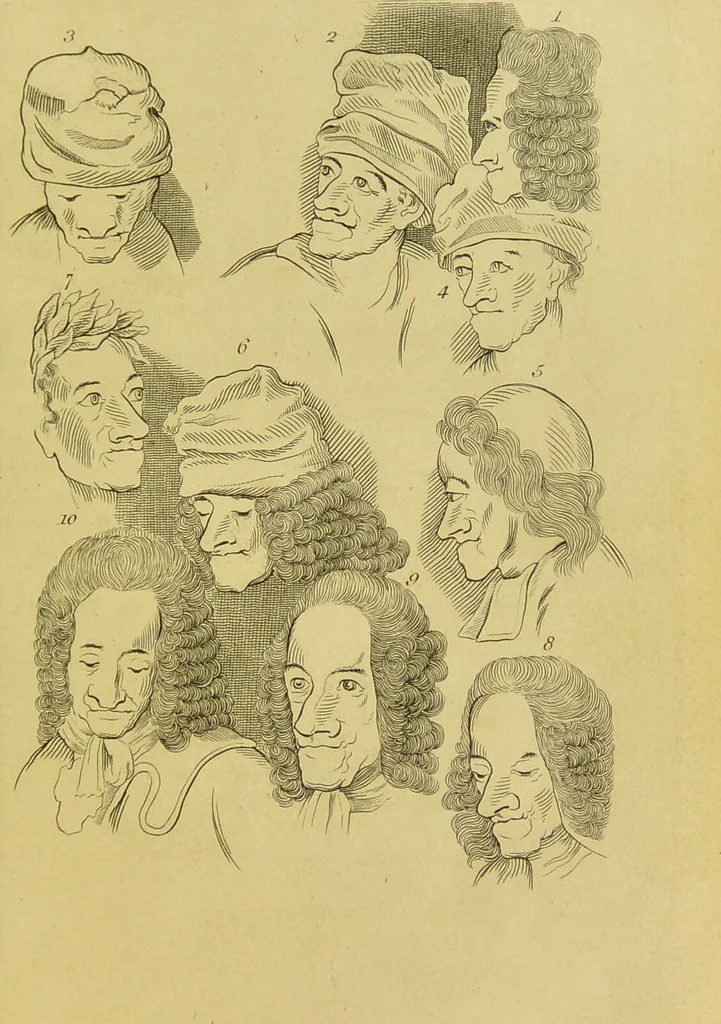 An illustration from Essays on physiognomy : designed to promote the knowledge and the love of mankind / written in the German language by John Caspar Lavater ; and translated into English by Thomas Holcroft ; to which are added, One hundred physiognomonical rules, a posthumous work by Mr. Lavater ; and memoirs of the life of the author, compiled principally from the life of Lavater, by G. Gessner., 1848, leaf 297