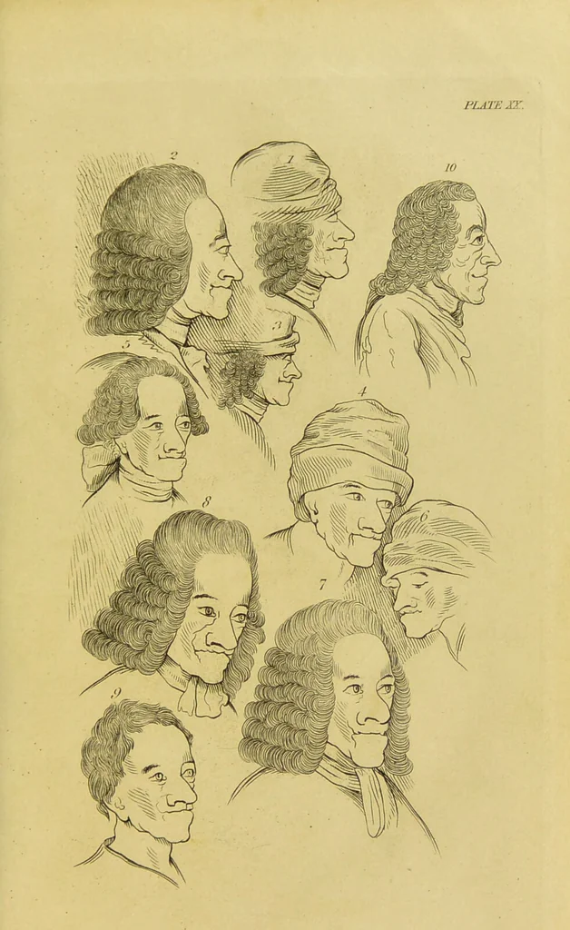 An illustration from Essays on physiognomy : designed to promote the knowledge and the love of mankind / written in the German language by John Caspar Lavater ; and translated into English by Thomas Holcroft ; to which are added, One hundred physiognomonical rules, a posthumous work by Mr. Lavater ; and memoirs of the life of the author, compiled principally from the life of Lavater, by G. Gessner., 1848, leaf 299