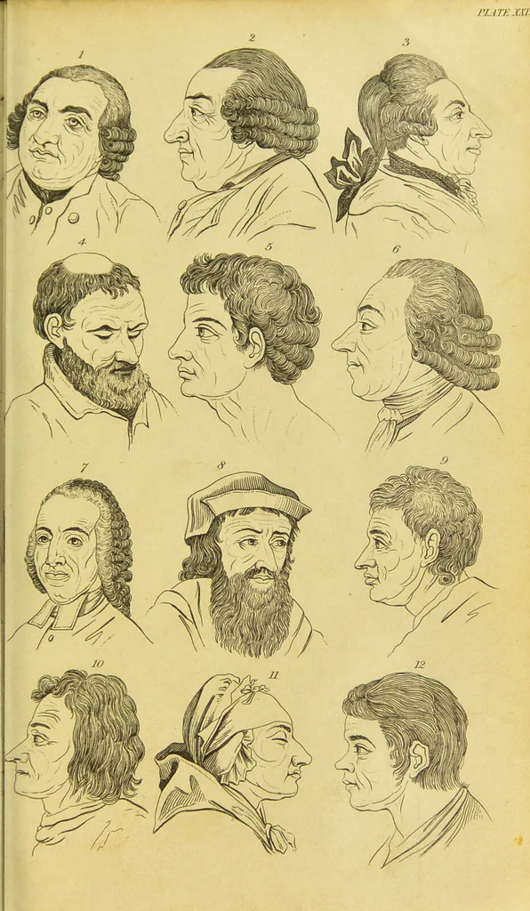 An illustration from Essays on physiognomy : designed to promote the knowledge and the love of mankind / written in the German language by John Caspar Lavater ; and translated into English by Thomas Holcroft ; to which are added, One hundred physiognomonical rules, a posthumous work by Mr. Lavater ; and memoirs of the life of the author, compiled principally from the life of Lavater, by G. Gessner., 1848, leaf 301