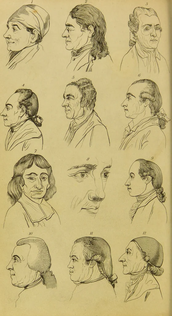 An illustration from Essays on physiognomy : designed to promote the knowledge and the love of mankind / written in the German language by John Caspar Lavater ; and translated into English by Thomas Holcroft ; to which are added, One hundred physiognomonical rules, a posthumous work by Mr. Lavater ; and memoirs of the life of the author, compiled principally from the life of Lavater, by G. Gessner., 1848, leaf 306