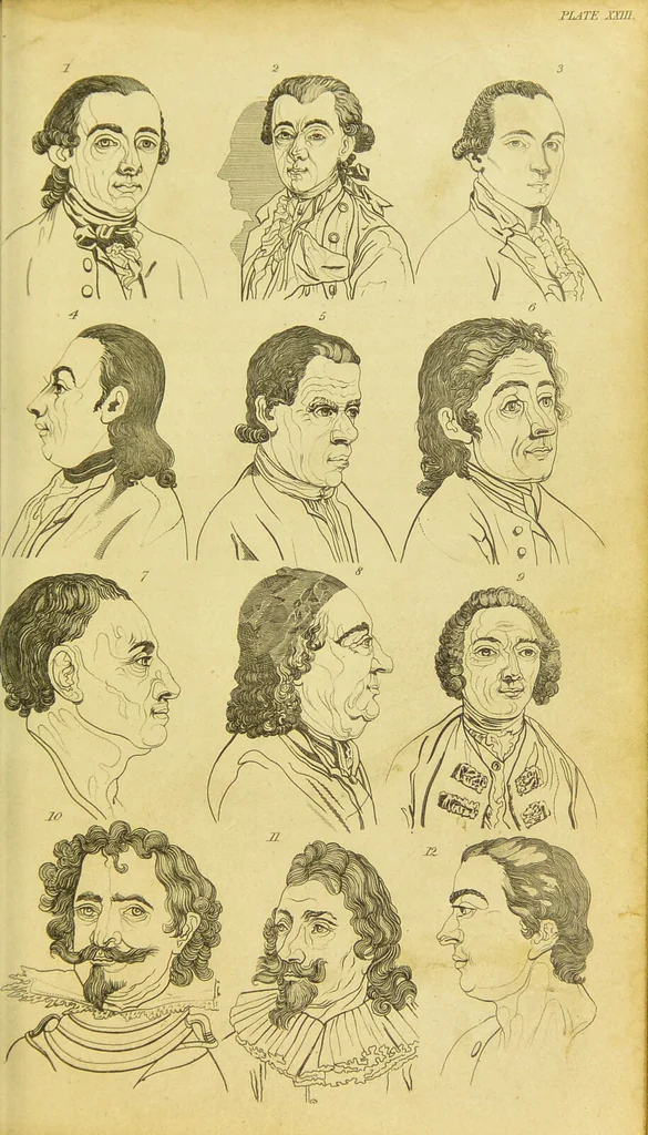 An illustration from Essays on physiognomy : designed to promote the knowledge and the love of mankind / written in the German language by John Caspar Lavater ; and translated into English by Thomas Holcroft ; to which are added, One hundred physiognomonical rules, a posthumous work by Mr. Lavater ; and memoirs of the life of the author, compiled principally from the life of Lavater, by G. Gessner., 1848, leaf 357