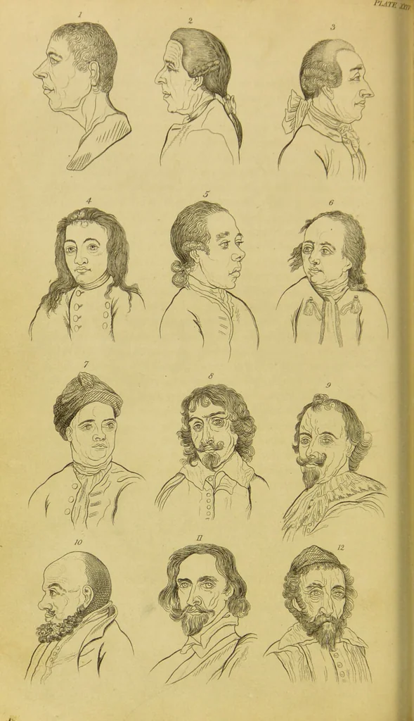 An illustration from Essays on physiognomy : designed to promote the knowledge and the love of mankind / written in the German language by John Caspar Lavater ; and translated into English by Thomas Holcroft ; to which are added, One hundred physiognomonical rules, a posthumous work by Mr. Lavater ; and memoirs of the life of the author, compiled principally from the life of Lavater, by G. Gessner., 1848, leaf 368