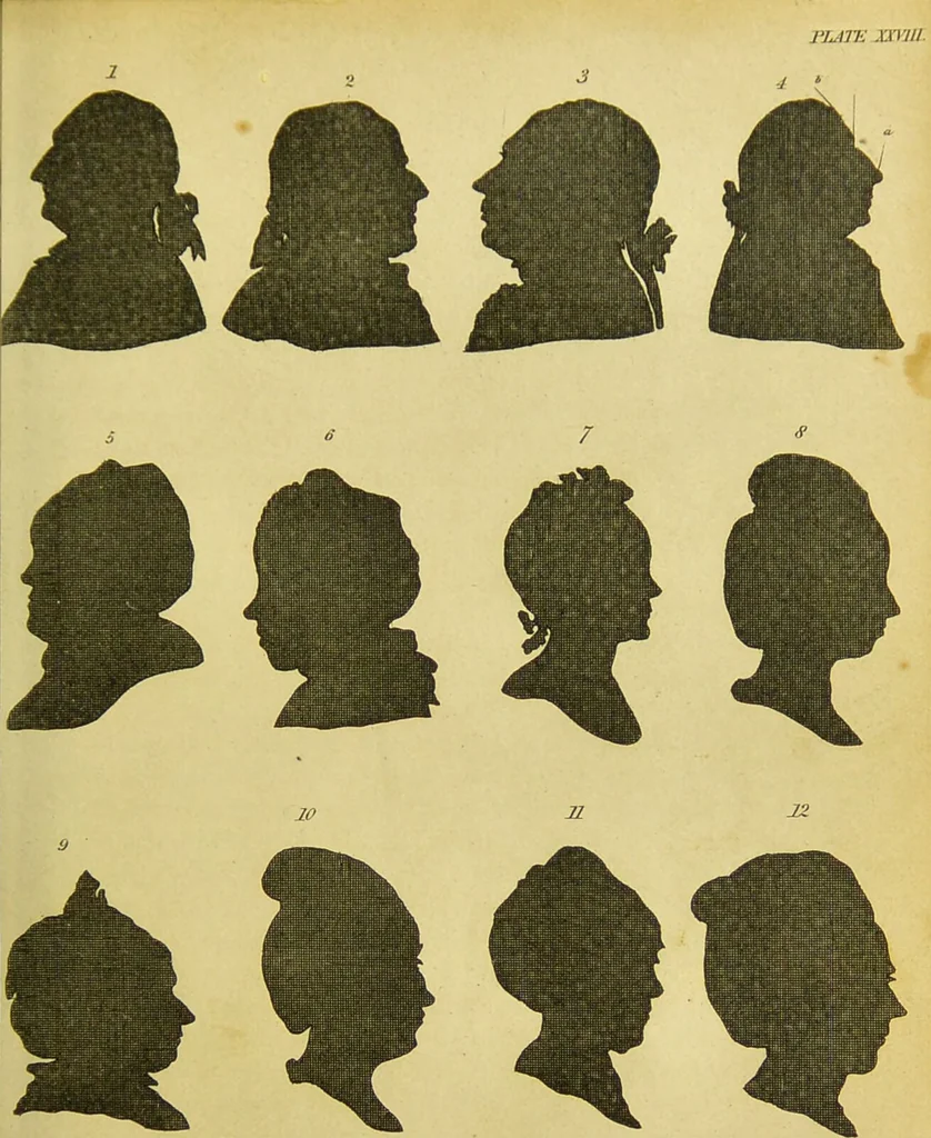 An illustration from Essays on physiognomy : designed to promote the knowledge and the love of mankind / written in the German language by John Caspar Lavater ; and translated into English by Thomas Holcroft ; to which are added, One hundred physiognomonical rules, a posthumous work by Mr. Lavater ; and memoirs of the life of the author, compiled principally from the life of Lavater, by G. Gessner., 1848, leaf 391