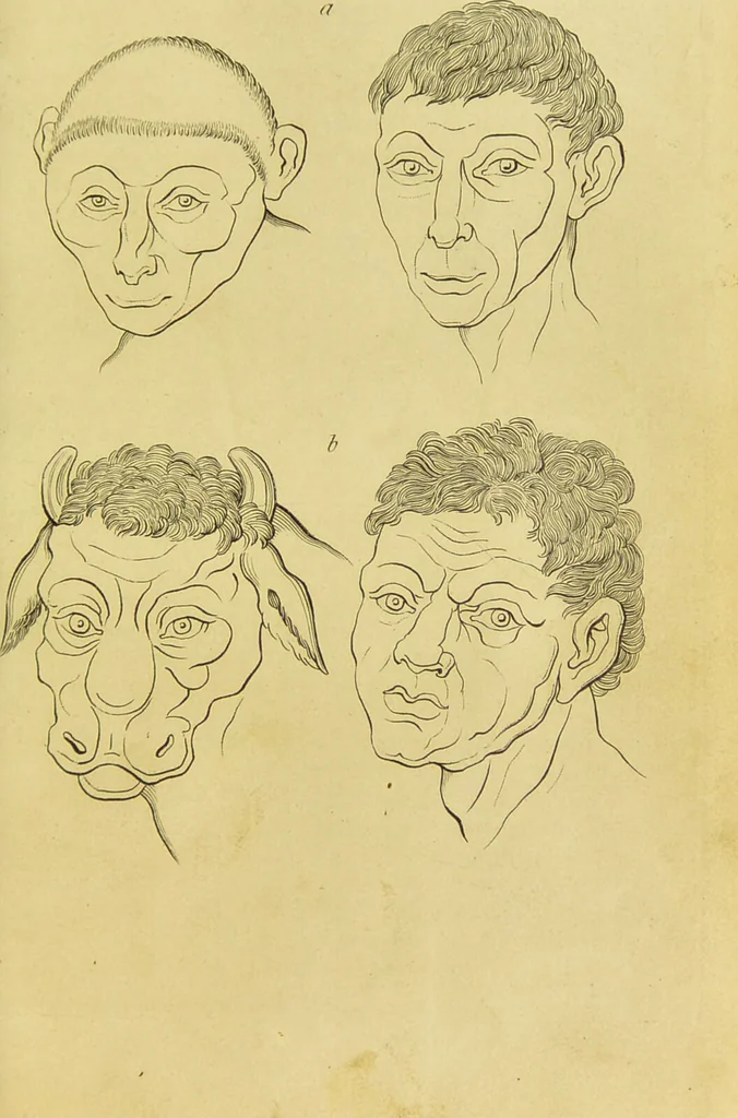 An illustration from Essays on physiognomy : designed to promote the knowledge and the love of mankind / written in the German language by John Caspar Lavater ; and translated into English by Thomas Holcroft ; to which are added, One hundred physiognomonical rules, a posthumous work by Mr. Lavater ; and memoirs of the life of the author, compiled principally from the life of Lavater, by G. Gessner., 1848, leaf 401