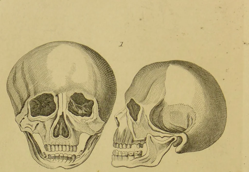 An illustration from Essays on physiognomy : designed to promote the knowledge and the love of mankind / written in the German language by John Caspar Lavater ; and translated into English by Thomas Holcroft ; to which are added, One hundred physiognomonical rules, a posthumous work by Mr. Lavater ; and memoirs of the life of the author, compiled principally from the life of Lavater, by G. Gessner., 1848, leaf 460