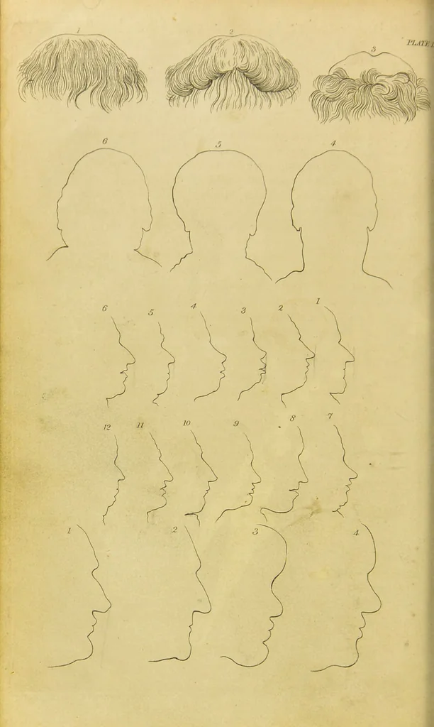 An illustration from Essays on physiognomy : designed to promote the knowledge and the love of mankind / written in the German language by John Caspar Lavater ; and translated into English by Thomas Holcroft ; to which are added, One hundred physiognomonical rules, a posthumous work by Mr. Lavater ; and memoirs of the life of the author, compiled principally from the life of Lavater, by G. Gessner., 1848, leaf 486