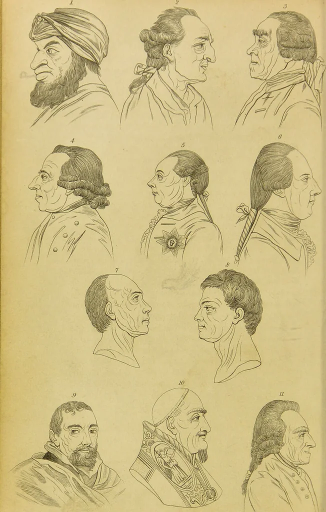 An illustration from Essays on physiognomy : designed to promote the knowledge and the love of mankind / written in the German language by John Caspar Lavater ; and translated into English by Thomas Holcroft ; to which are added, One hundred physiognomonical rules, a posthumous work by Mr. Lavater ; and memoirs of the life of the author, compiled principally from the life of Lavater, by G. Gessner., 1848, leaf 510