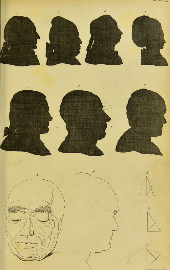 An illustration from Essays on physiognomy : designed to promote the knowledge and the love of mankind / written in the German language by John Caspar Lavater ; and translated into English by Thomas Holcroft ; to which are added, One hundred physiognomonical rules, a posthumous work by Mr. Lavater ; and memoirs of the life of the author, compiled principally from the life of Lavater, by G. Gessner., 1848, leaf 515