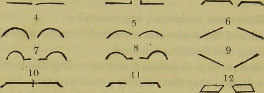 An illustration from Essays on physiognomy : designed to promote the knowledge and the love of mankind / written in the German language by John Caspar Lavater ; and translated into English by Thomas Holcroft ; to which are added, One hundred physiognomonical rules, a posthumous work by Mr. Lavater ; and memoirs of the life of the author, compiled principally from the life of Lavater, by G. Gessner., 1848, leaf 632