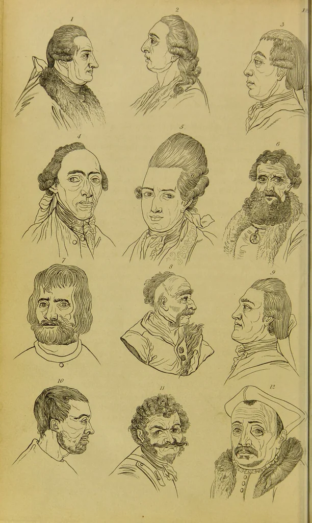 An illustration from Essays on physiognomy : designed to promote the knowledge and the love of mankind / written in the German language by John Caspar Lavater ; and translated into English by Thomas Holcroft ; to which are added, One hundred physiognomonical rules, a posthumous work by Mr. Lavater ; and memoirs of the life of the author, compiled principally from the life of Lavater, by G. Gessner., 1848, leaf 666