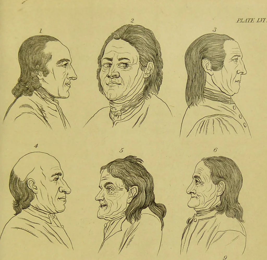 An illustration from Essays on physiognomy : designed to promote the knowledge and the love of mankind / written in the German language by John Caspar Lavater ; and translated into English by Thomas Holcroft ; to which are added, One hundred physiognomonical rules, a posthumous work by Mr. Lavater ; and memoirs of the life of the author, compiled principally from the life of Lavater, by G. Gessner., 1848, leaf 671