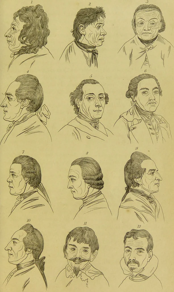 An illustration from Essays on physiognomy : designed to promote the knowledge and the love of mankind / written in the German language by John Caspar Lavater ; and translated into English by Thomas Holcroft ; to which are added, One hundred physiognomonical rules, a posthumous work by Mr. Lavater ; and memoirs of the life of the author, compiled principally from the life of Lavater, by G. Gessner., 1848, leaf 675