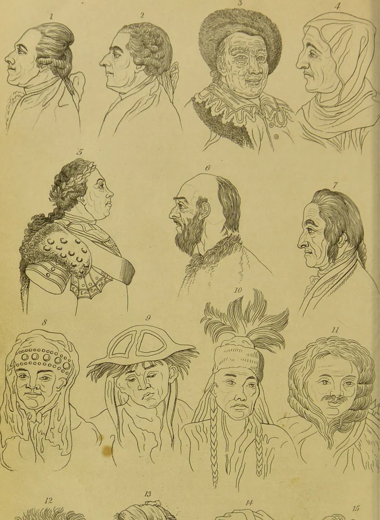An illustration from Essays on physiognomy : designed to promote the knowledge and the love of mankind / written in the German language by John Caspar Lavater ; and translated into English by Thomas Holcroft ; to which are added, One hundred physiognomonical rules, a posthumous work by Mr. Lavater ; and memoirs of the life of the author, compiled principally from the life of Lavater, by G. Gessner., 1848, leaf 680