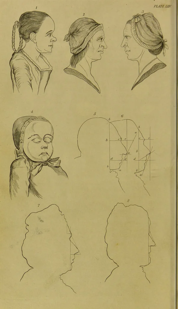An illustration from Essays on physiognomy : designed to promote the knowledge and the love of mankind / written in the German language by John Caspar Lavater ; and translated into English by Thomas Holcroft ; to which are added, One hundred physiognomonical rules, a posthumous work by Mr. Lavater ; and memoirs of the life of the author, compiled principally from the life of Lavater, by G. Gessner., 1848, leaf 698