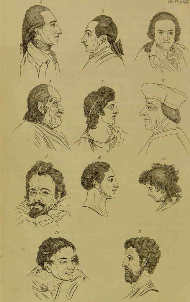An illustration from Essays on physiognomy : designed to promote the knowledge and the love of mankind / written in the German language by John Caspar Lavater ; and translated into English by Thomas Holcroft ; to which are added, One hundred physiognomonical rules, a posthumous work by Mr. Lavater ; and memoirs of the life of the author, compiled principally from the life of Lavater, by G. Gessner., 1848, leaf 712