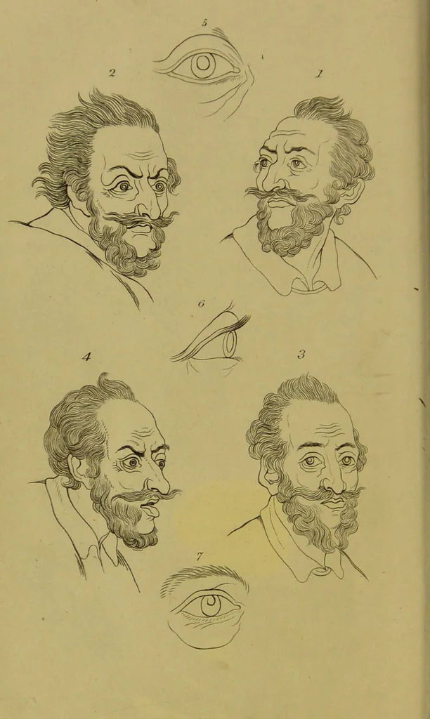 An illustration from Essays on physiognomy : designed to promote the knowledge and the love of mankind / written in the German language by John Caspar Lavater ; and translated into English by Thomas Holcroft ; to which are added, One hundred physiognomonical rules, a posthumous work by Mr. Lavater ; and memoirs of the life of the author, compiled principally from the life of Lavater, by G. Gessner., 1848, leaf 724