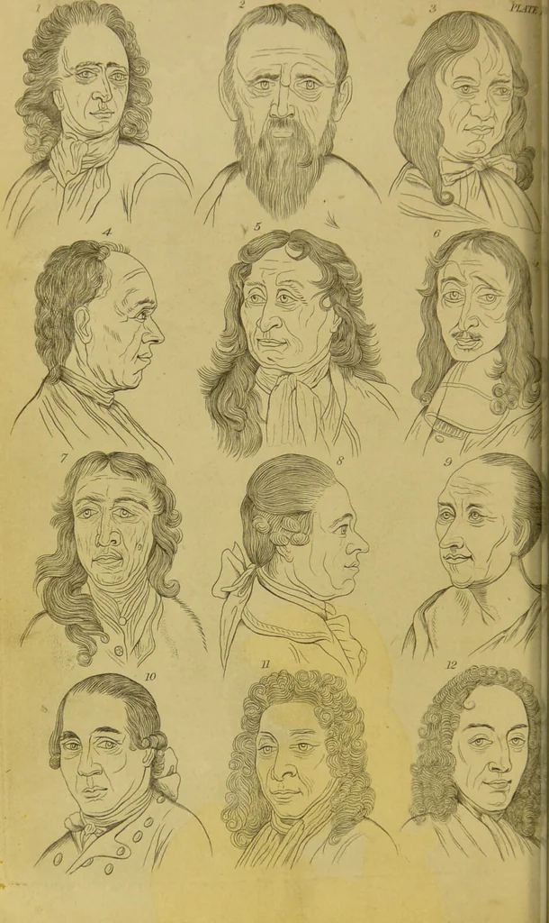 An illustration from Essays on physiognomy : designed to promote the knowledge and the love of mankind / written in the German language by John Caspar Lavater ; and translated into English by Thomas Holcroft ; to which are added, One hundred physiognomonical rules, a posthumous work by Mr. Lavater ; and memoirs of the life of the author, compiled principally from the life of Lavater, by G. Gessner., 1848, leaf 726