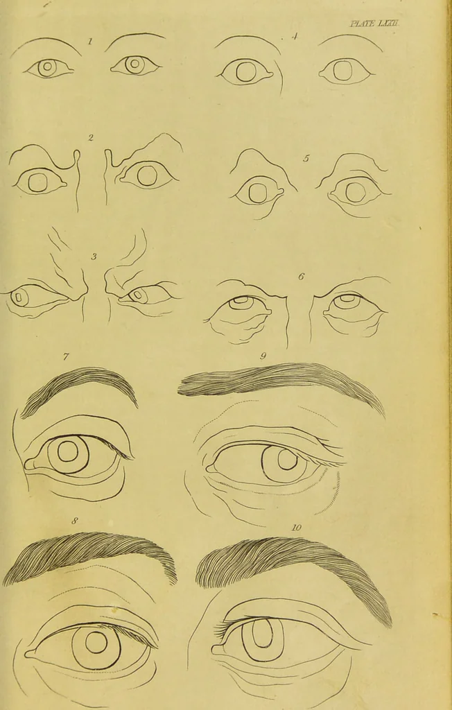 An illustration from Essays on physiognomy : designed to promote the knowledge and the love of mankind / written in the German language by John Caspar Lavater ; and translated into English by Thomas Holcroft ; to which are added, One hundred physiognomonical rules, a posthumous work by Mr. Lavater ; and memoirs of the life of the author, compiled principally from the life of Lavater, by G. Gessner., 1848, leaf 729