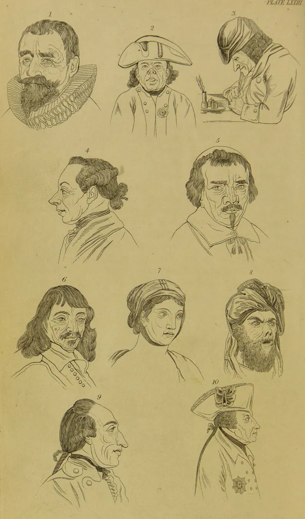 An illustration from Essays on physiognomy : designed to promote the knowledge and the love of mankind / written in the German language by John Caspar Lavater ; and translated into English by Thomas Holcroft ; to which are added, One hundred physiognomonical rules, a posthumous work by Mr. Lavater ; and memoirs of the life of the author, compiled principally from the life of Lavater, by G. Gessner., 1848, leaf 732