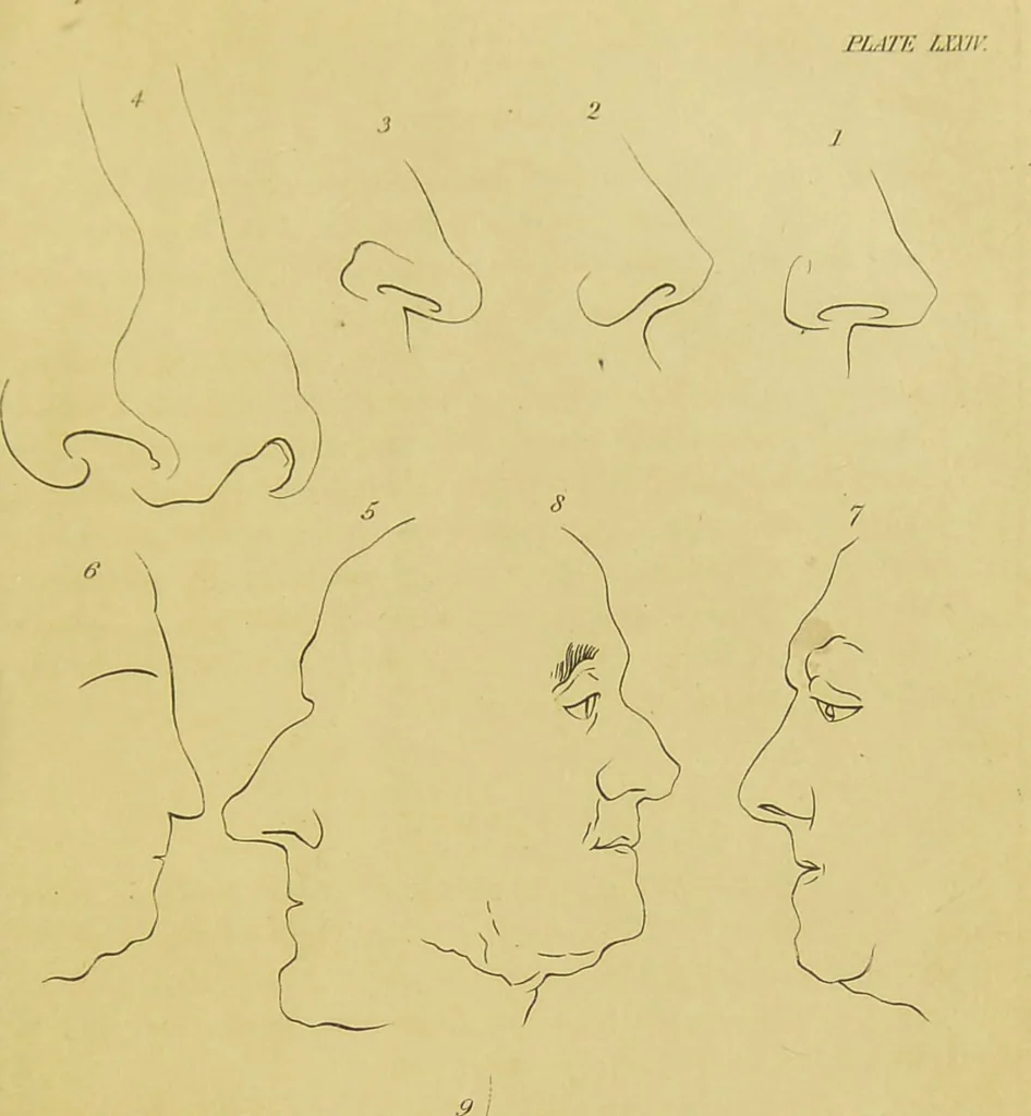 An illustration from Essays on physiognomy : designed to promote the knowledge and the love of mankind / written in the German language by John Caspar Lavater ; and translated into English by Thomas Holcroft ; to which are added, One hundred physiognomonical rules, a posthumous work by Mr. Lavater ; and memoirs of the life of the author, compiled principally from the life of Lavater, by G. Gessner., 1848, leaf 737