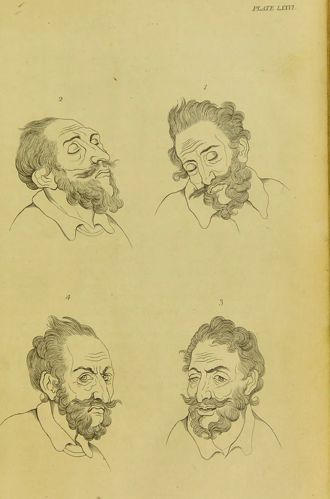 An illustration from Essays on physiognomy : designed to promote the knowledge and the love of mankind / written in the German language by John Caspar Lavater ; and translated into English by Thomas Holcroft ; to which are added, One hundred physiognomonical rules, a posthumous work by Mr. Lavater ; and memoirs of the life of the author, compiled principally from the life of Lavater, by G. Gessner., 1848, leaf 743