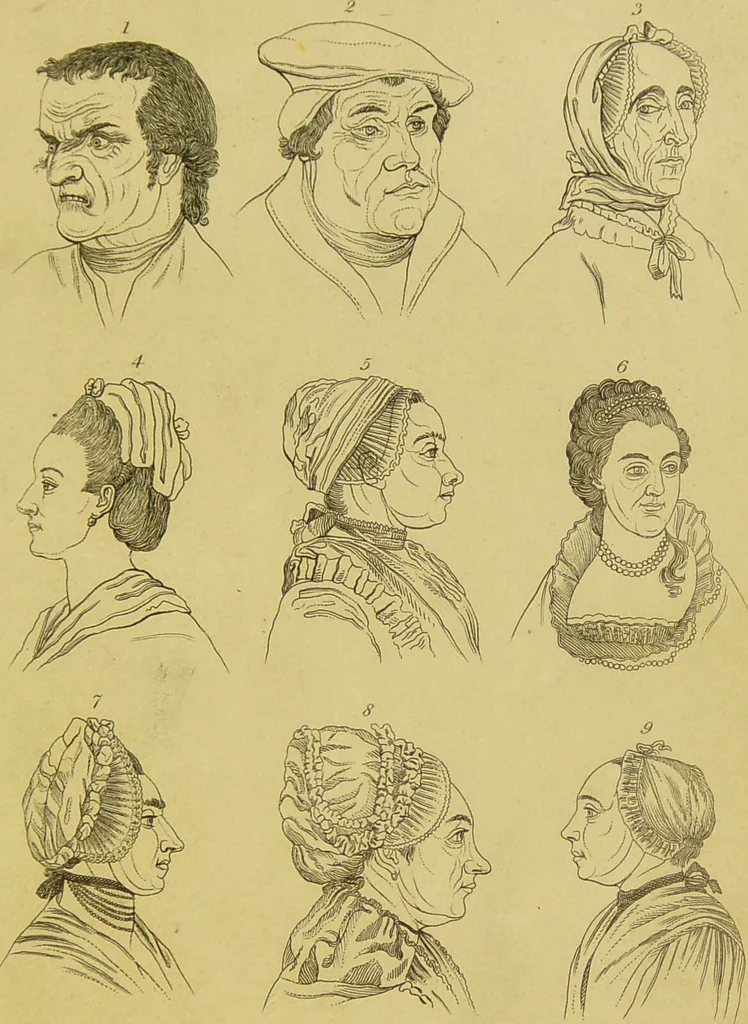 An illustration from Essays on physiognomy : designed to promote the knowledge and the love of mankind / written in the German language by John Caspar Lavater ; and translated into English by Thomas Holcroft ; to which are added, One hundred physiognomonical rules, a posthumous work by Mr. Lavater ; and memoirs of the life of the author, compiled principally from the life of Lavater, by G. Gessner., 1848, leaf 745