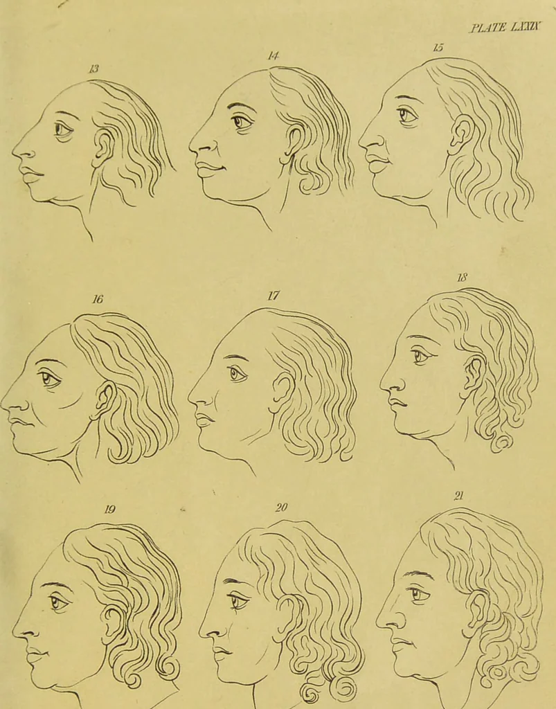 An illustration from Essays on physiognomy : designed to promote the knowledge and the love of mankind / written in the German language by John Caspar Lavater ; and translated into English by Thomas Holcroft ; to which are added, One hundred physiognomonical rules, a posthumous work by Mr. Lavater ; and memoirs of the life of the author, compiled principally from the life of Lavater, by G. Gessner., 1848, leaf 787