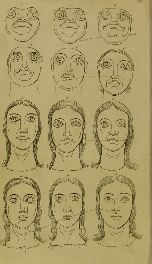 An illustration from Essays on physiognomy : designed to promote the knowledge and the love of mankind / written in the German language by John Caspar Lavater ; and translated into English by Thomas Holcroft ; to which are added, One hundred physiognomonical rules, a posthumous work by Mr. Lavater ; and memoirs of the life of the author, compiled principally from the life of Lavater, by G. Gessner., 1848, leaf 790