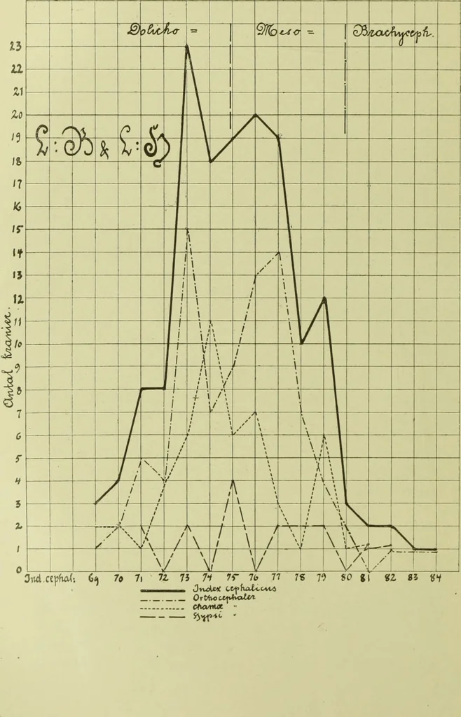 An illustration from Norrønaskaller : crania antiqua in parte orientali Norvegiae meridionalis inventa / en studie fra Universitetets Anatomiske Institut og dette tilegnet af Justus Barth ... ; udgivet ved G.A. Guldberg., 1896, leaf 42