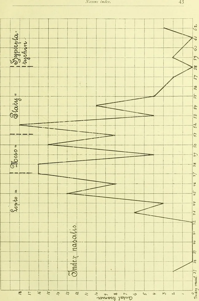 An illustration from Norrønaskaller : crania antiqua in parte orientali Norvegiae meridionalis inventa / en studie fra Universitetets Anatomiske Institut og dette tilegnet af Justus Barth ... ; udgivet ved G.A. Guldberg., 1896, leaf 51
