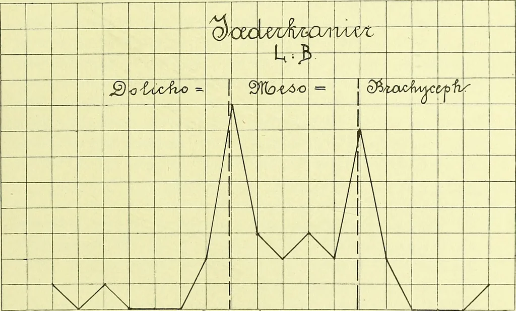 An illustration from Norrønaskaller : crania antiqua in parte orientali Norvegiae meridionalis inventa / en studie fra Universitetets Anatomiske Institut og dette tilegnet af Justus Barth ... ; udgivet ved G.A. Guldberg., 1896, leaf 89