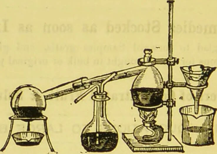 An illustration from A manual of vegetable materia medica / by George S.V. Wills., 1883, leaf 396