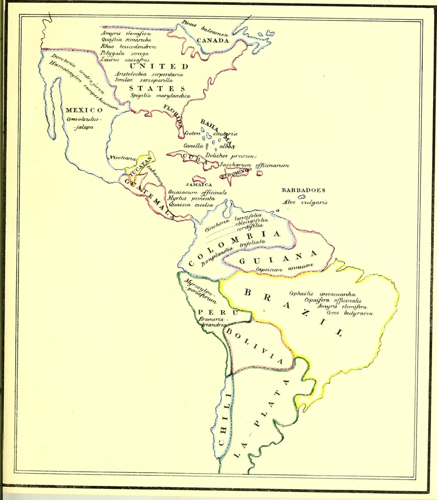 An illustration from A series of botanical tables, and tables of the materia medica, designed for the use of students preparing for examination at Apothecaries' Hall : illustrated with numerous engravings on wood, and four coloured medico-botanical maps of Europe, Asia, Africa, and America, showing the geographical situation of all the plants of the Pharmacopœia / by W. K. Toase., 1835, leaf 11