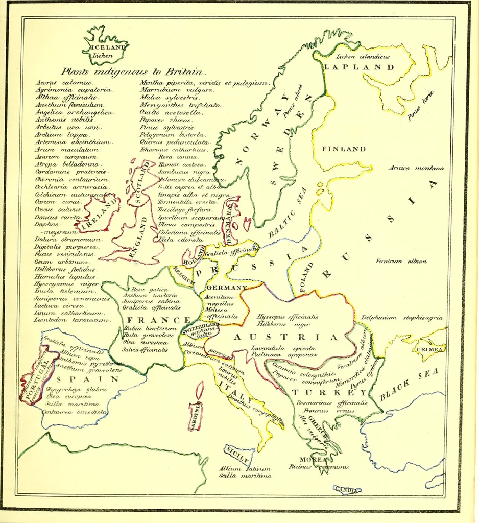 An illustration from A series of botanical tables, and tables of the materia medica, designed for the use of students preparing for examination at Apothecaries' Hall : illustrated with numerous engravings on wood, and four coloured medico-botanical maps of Europe, Asia, Africa, and America, showing the geographical situation of all the plants of the Pharmacopœia / by W. K. Toase., 1835, leaf 5