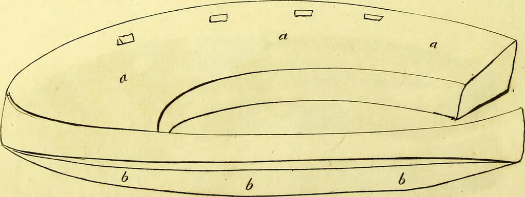 An illustration from Observations on the structure, œconomy, and diseases of the foot of the horse, and on the principles and practice of shoeing / by Edward Coleman., 1798, leaf 142