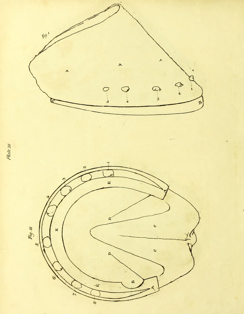 An illustration from Observations on the structure, œconomy, and diseases of the foot of the horse, and on the principles and practice of shoeing / by Edward Coleman., 1798, leaf 148