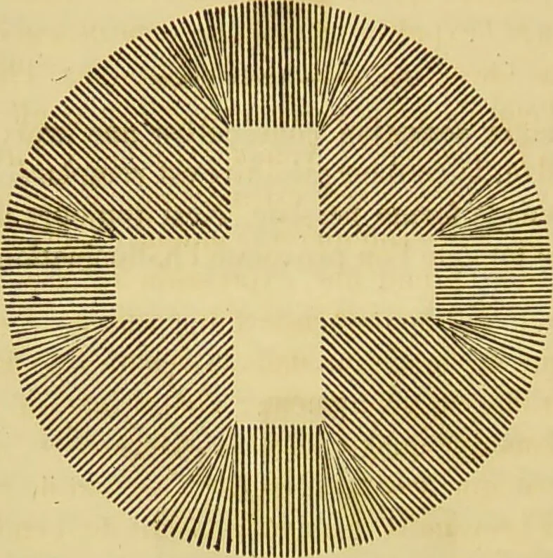 An illustration from Le magnétisme animal / par Alfred Binet et Ch. Féré., 1887, leaf 214