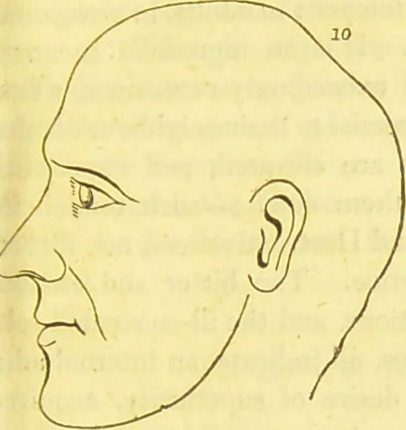 An illustration from Elements of phrenology / by George Combe., 1836, leaf 101