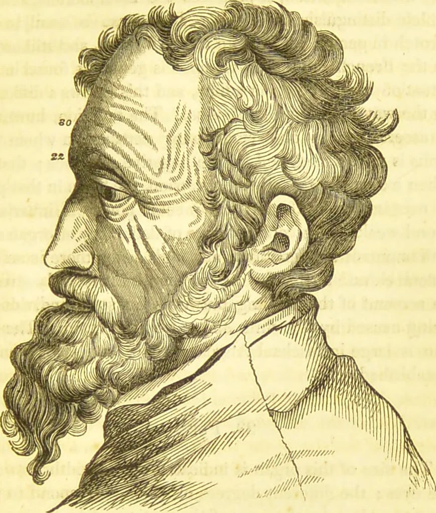 An illustration from Elements of phrenology / by George Combe., 1836, leaf 131