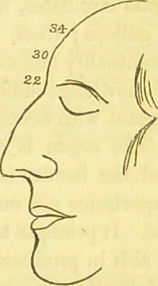 An illustration from Elements of phrenology / by George Combe., 1836, leaf 141