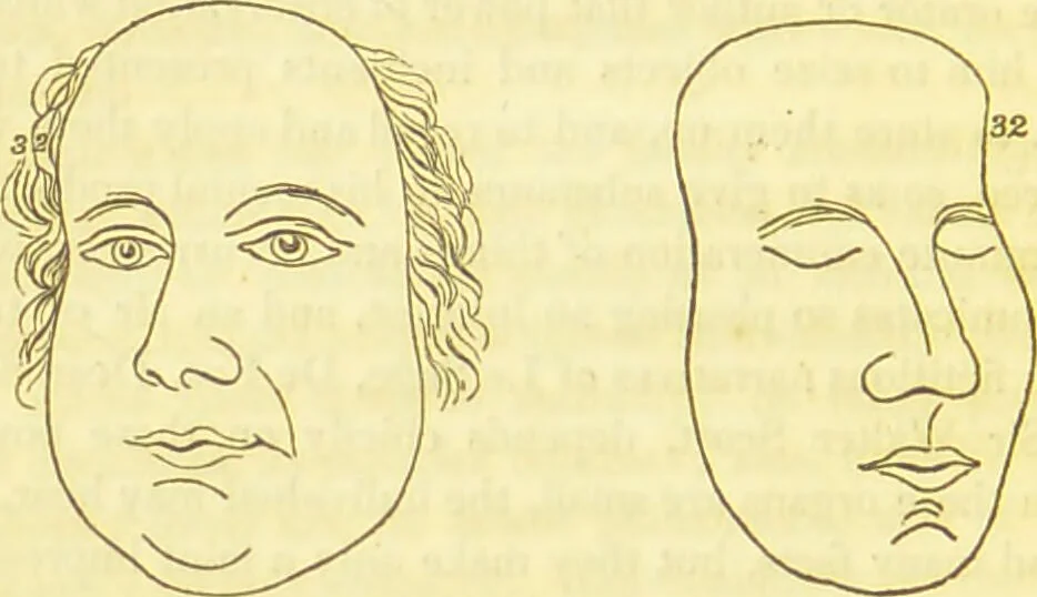 An illustration from Elements of phrenology / by George Combe., 1836, leaf 144