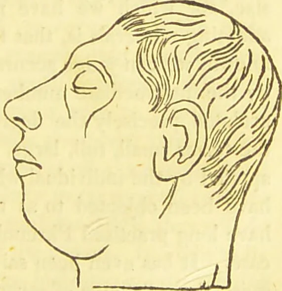 An illustration from Elements of phrenology / by George Combe., 1836, leaf 173