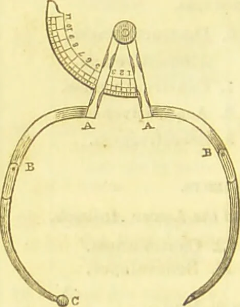 An illustration from Elements of phrenology / by George Combe., 1836, leaf 222