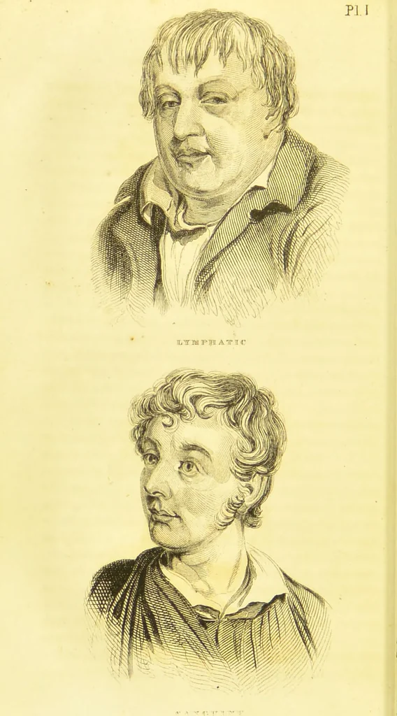 An illustration from Elements of phrenology / by George Combe., 1836, leaf 38