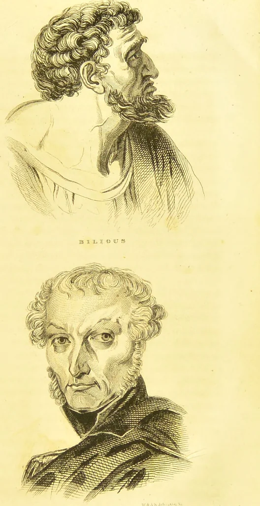 An illustration from Elements of phrenology / by George Combe., 1836, leaf 39