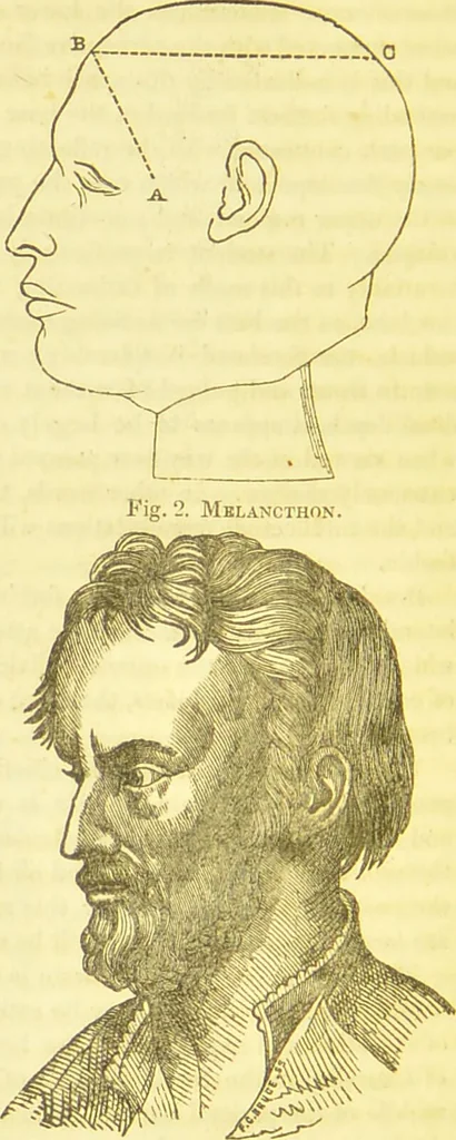 An illustration from Elements of phrenology / by George Combe., 1836, leaf 48