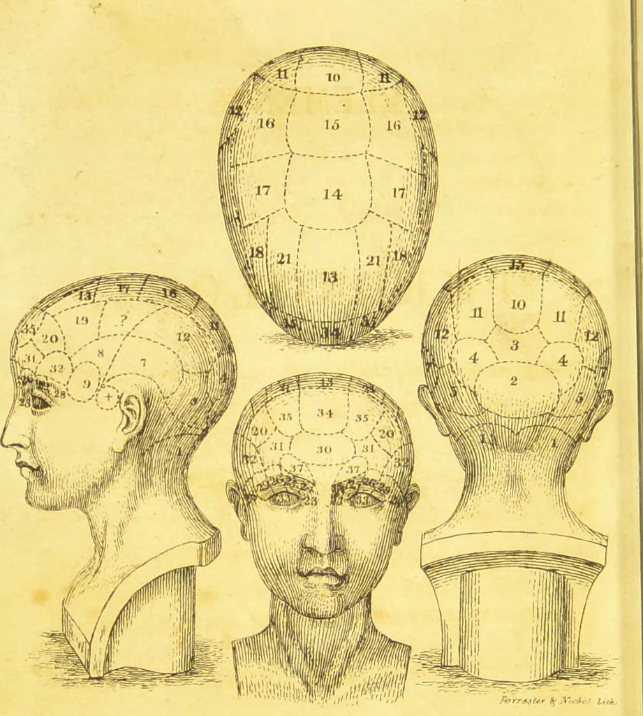 An illustration from Elements of phrenology / by George Combe., 1836, leaf 8
